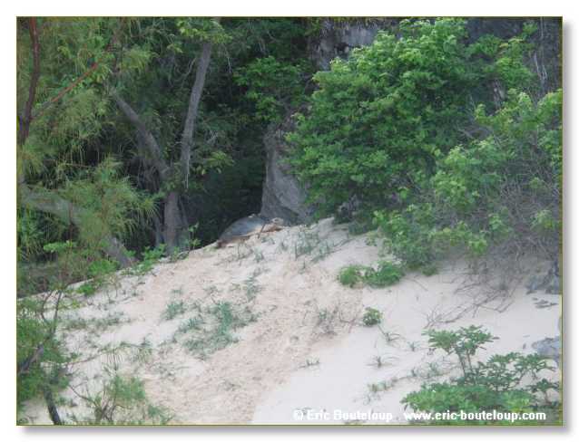 324_SEYCHELLES_2005_Mahe_