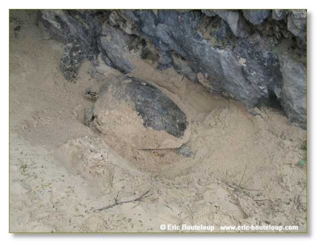 326_SEYCHELLES_2005_Mahe_