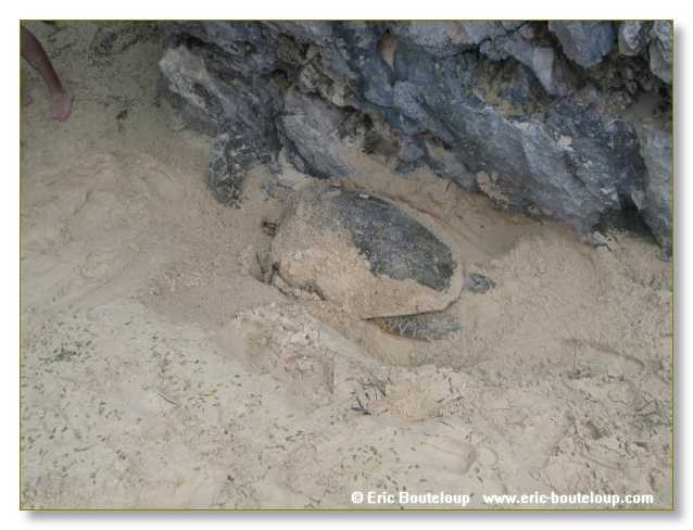 327_SEYCHELLES_2005_Mahe_