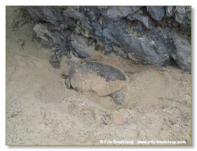 328_SEYCHELLES_2005_Mahe_