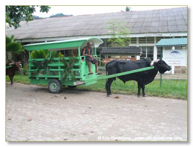 331_SEYCHELLES_2005_Mahe_