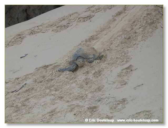 332_SEYCHELLES_2005_Mahe_