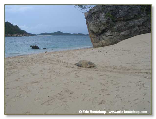 334_SEYCHELLES_2005_Mahe_