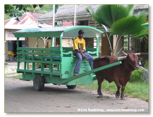 342_SEYCHELLES_2005_Mahe_