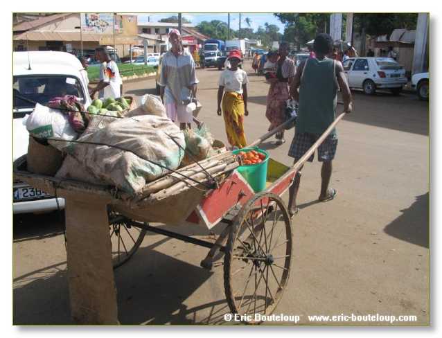 381_SEYCHELLES_2005_Mahe_