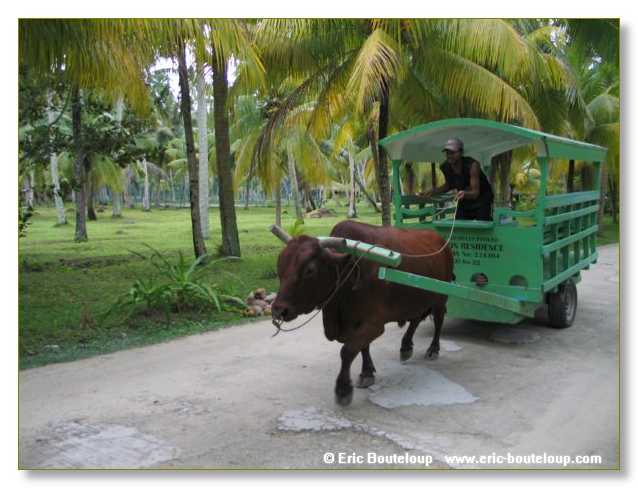 397_SEYCHELLES_2005_Mahe_