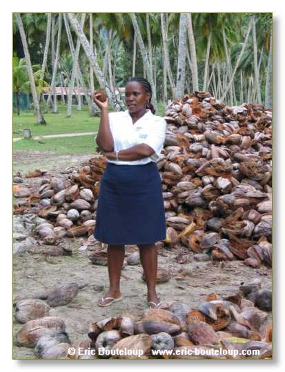 420_SEYCHELLES_2005_Mahe_