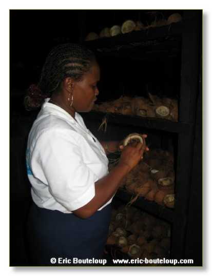 431_SEYCHELLES_2005_Mahe_