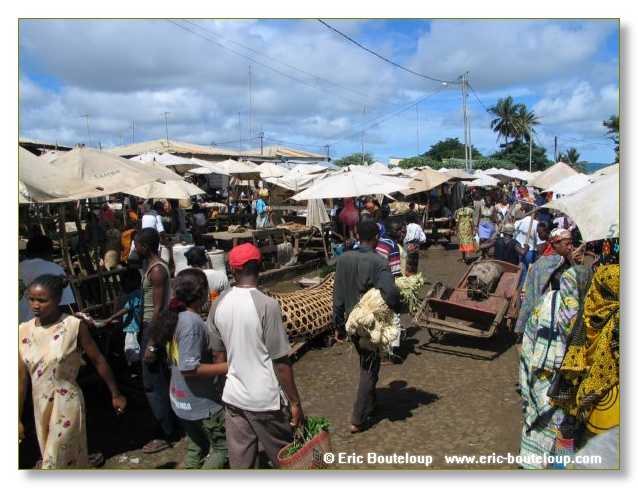 463_SEYCHELLES_2005_Mahe_