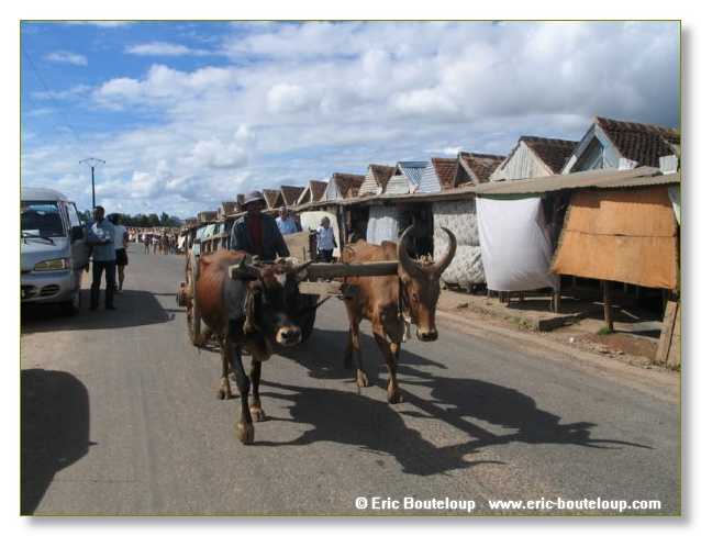 500_SEYCHELLES_2005_Mahe_