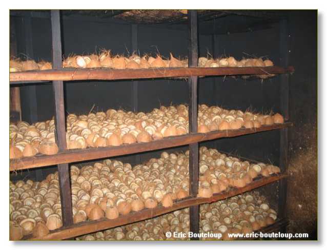 523_SEYCHELLES_2005_Mahe_