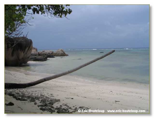 527_SEYCHELLES_2005_Mahe_