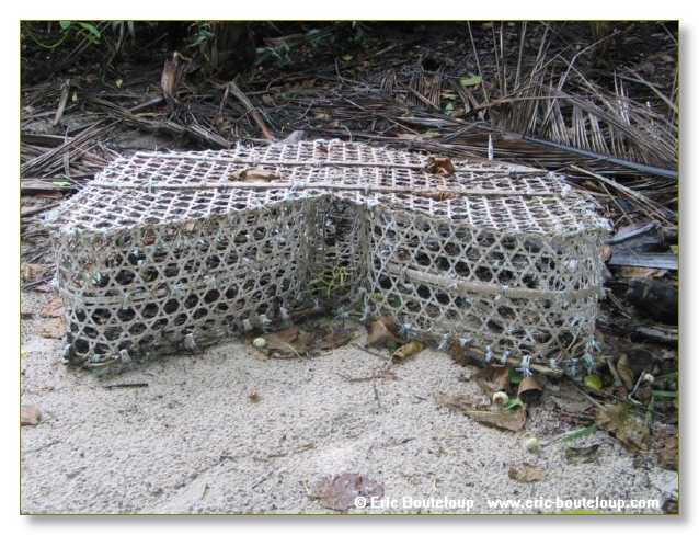 529_SEYCHELLES_2005_Mahe_