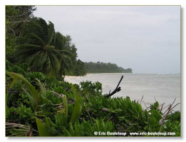531_SEYCHELLES_2005_Mahe_