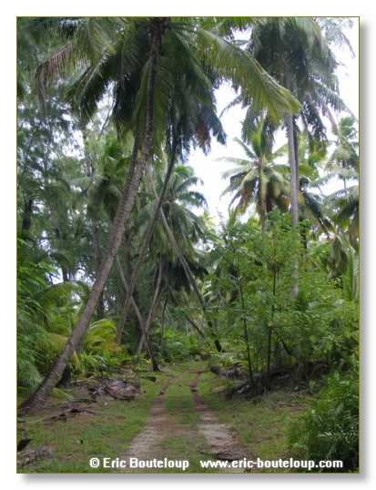 552_SEYCHELLES_2005_Mahe_