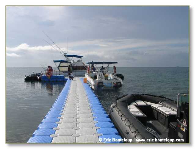 558_SEYCHELLES_2005_Mahe_