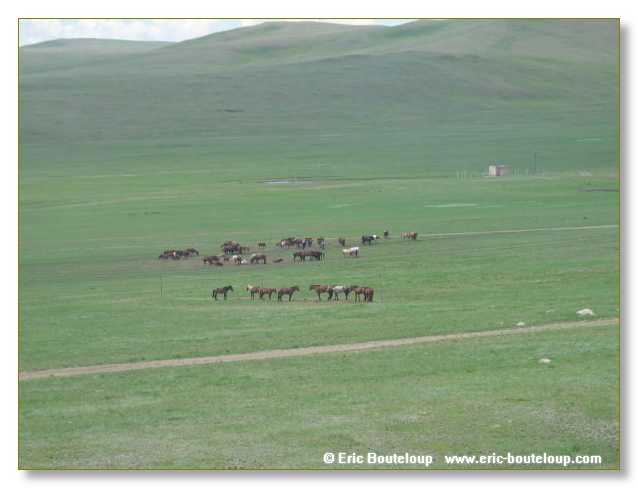 091_SIBERIE_MONGOLIE