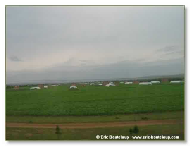 097_SIBERIE_MONGOLIE