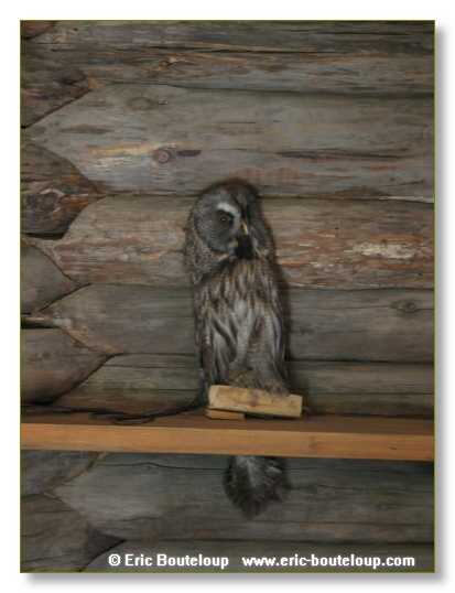 444_SIBERIE_MONGOLIE