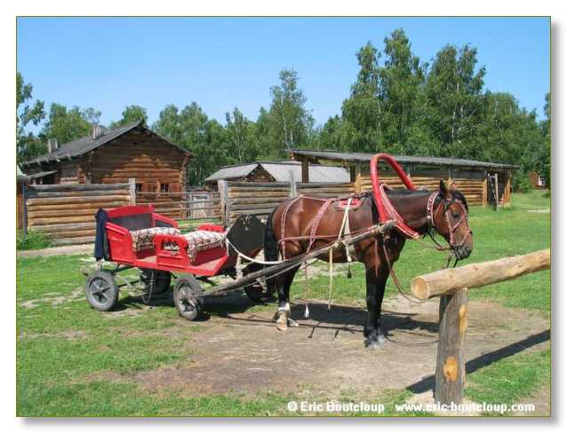 446_SIBERIE_MONGOLIE