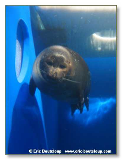 455_SIBERIE_MONGOLIE