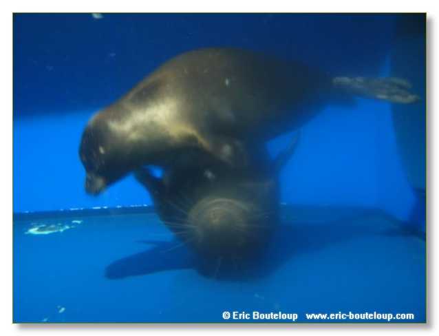 457_SIBERIE_MONGOLIE