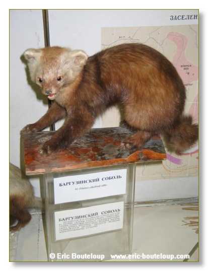 460_SIBERIE_MONGOLIE