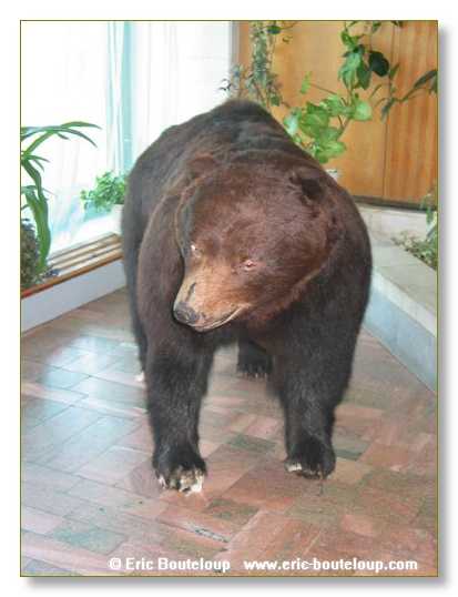 497_SIBERIE_MONGOLIE