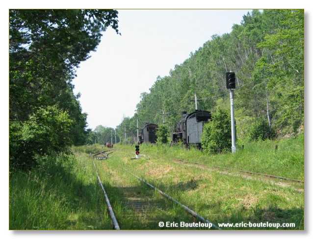 583_SIBERIE_MONGOLIE