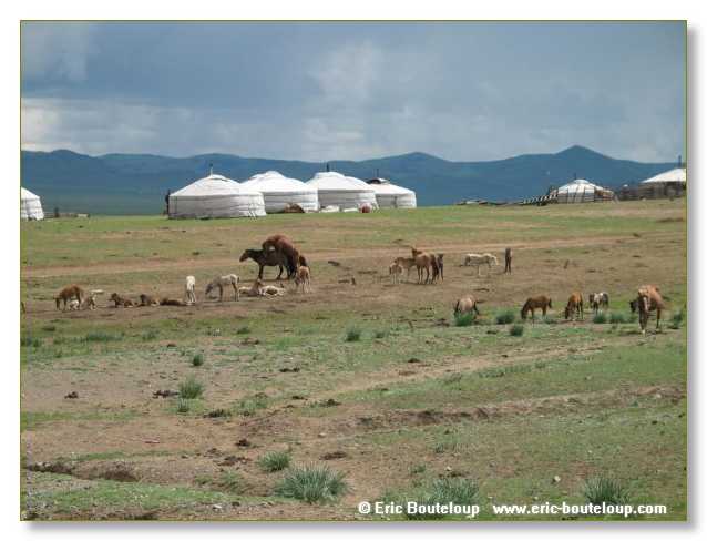 615_SIBERIE_MONGOLIE