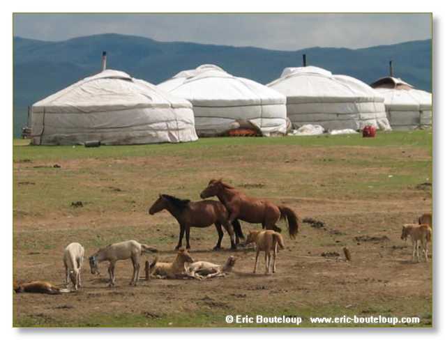 617_SIBERIE_MONGOLIE