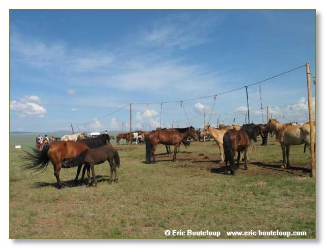 706_SIBERIE_MONGOLIE