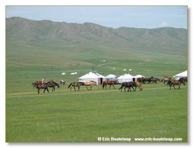 811_SIBERIE_MONGOLIE