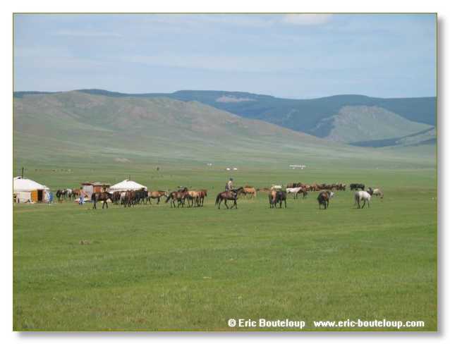 813_SIBERIE_MONGOLIE