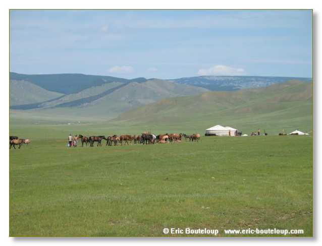 814_SIBERIE_MONGOLIE
