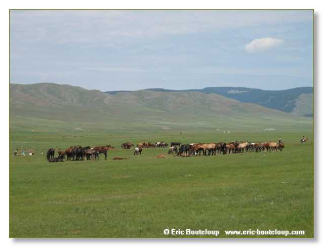 815_SIBERIE_MONGOLIE