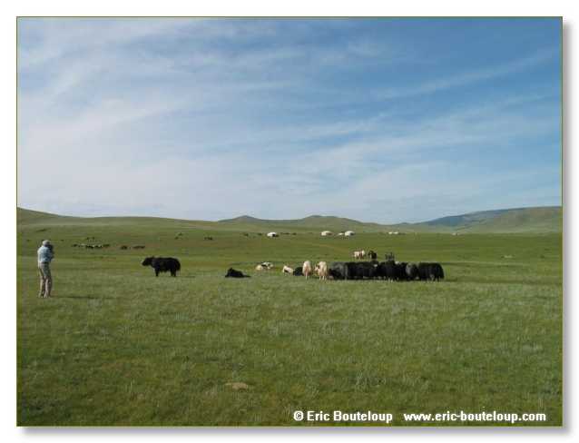 847_SIBERIE_MONGOLIE