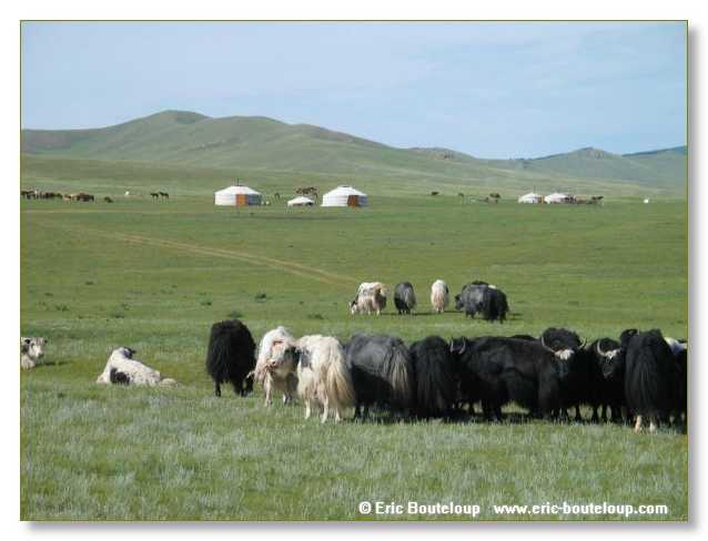 848_SIBERIE_MONGOLIE