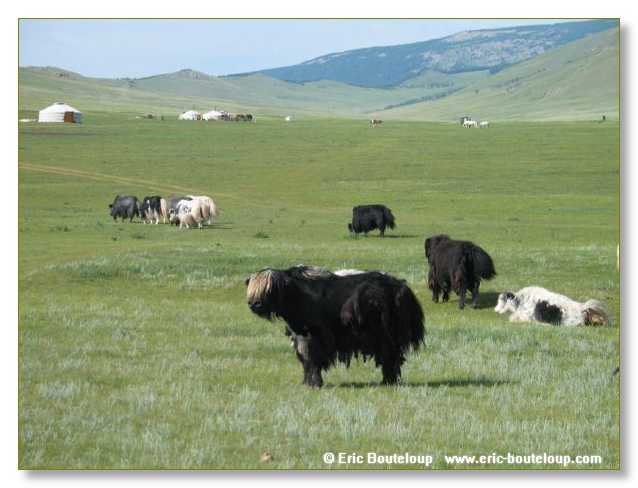 850_SIBERIE_MONGOLIE