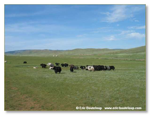 851_SIBERIE_MONGOLIE