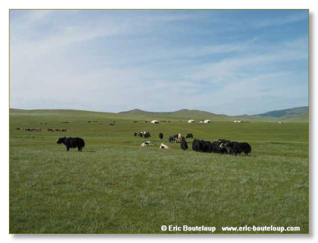 855_SIBERIE_MONGOLIE