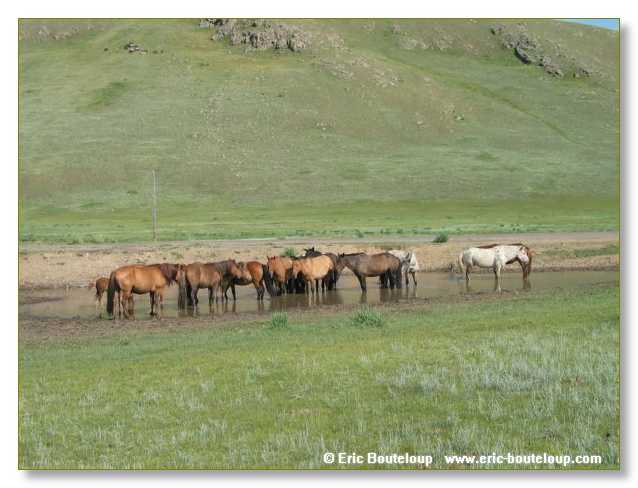 856_SIBERIE_MONGOLIE