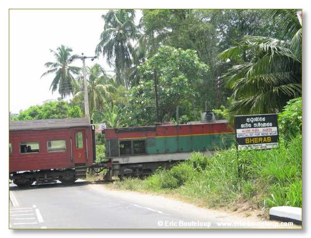 011_Sri_Lanka_2003_03