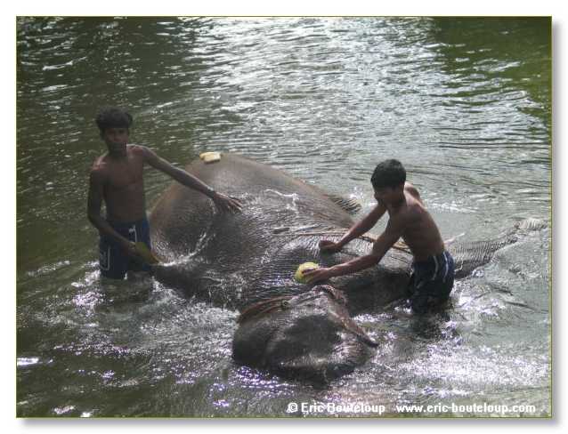 044_Sri_Lanka_2003_03