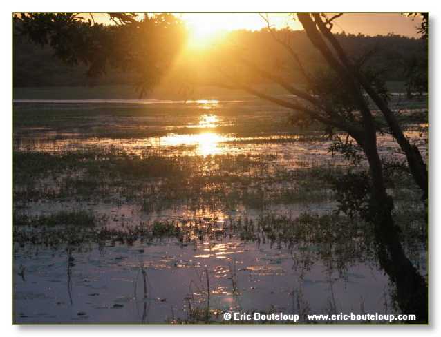 070_Sri_Lanka_2003_03