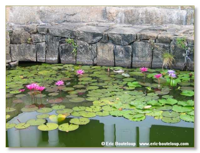 077_Sri_Lanka_2003_03