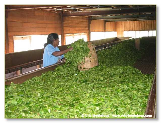 088_Sri_Lanka_2003_03