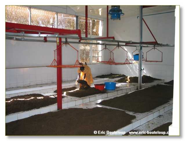 089_Sri_Lanka_2003_03