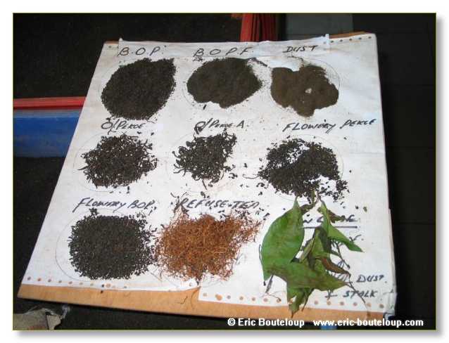 090_Sri_Lanka_2003_03