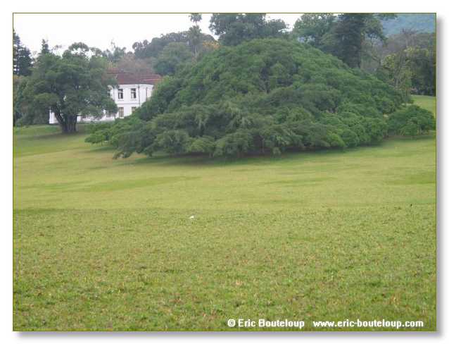 092_Sri_Lanka_2003_03